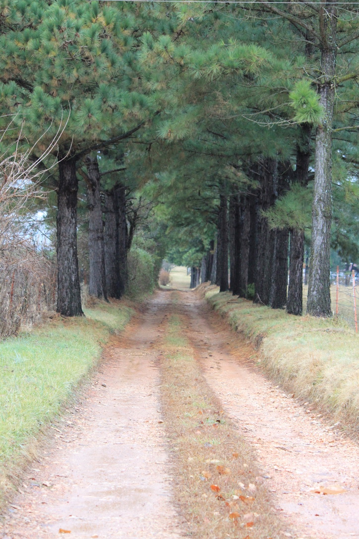 long path